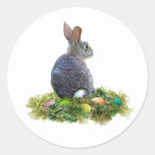 Sticker Rond Lapin aux oeufs colorés à Lichen