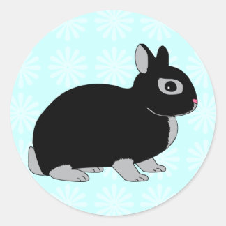 Sticker Rond Lapin nain du Pays-Bas