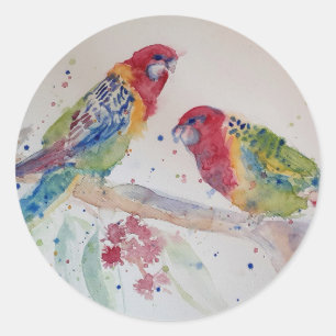 Sticker Rond L'art de l'aquarelle australienne Rosella Parrot