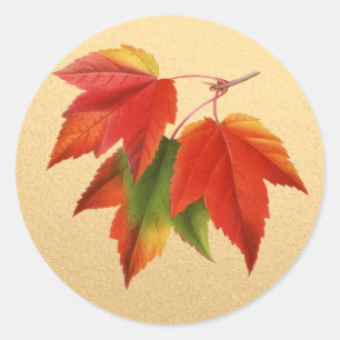 Sticker Rond L'automne de feuille d'automne colore la feuille
