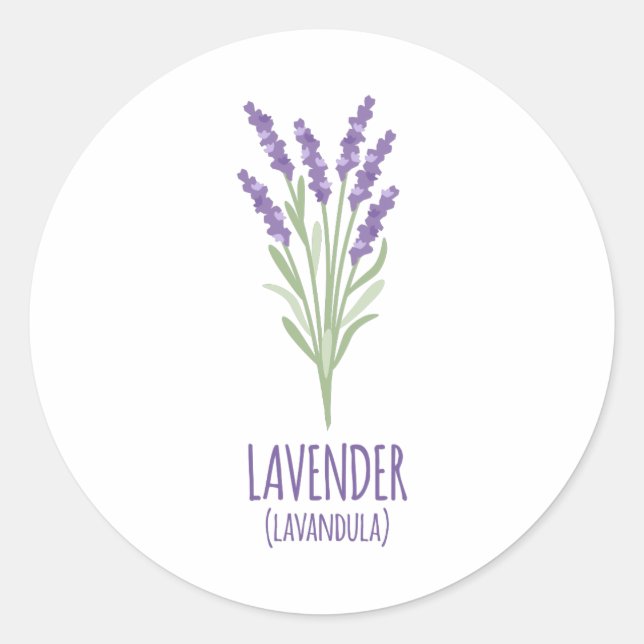Sticker Rond Lavender Lavandula (Devant)