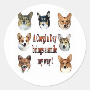 Sticker Rond Le corgi par jour apporte un sourire 7