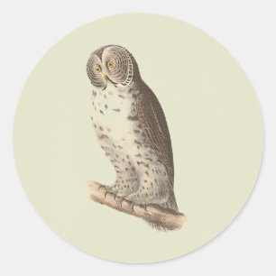 Sticker Rond Le grand hibou gris (Strix nebulosa) NY Bird Image