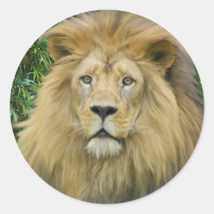 Sticker Rond Le lion