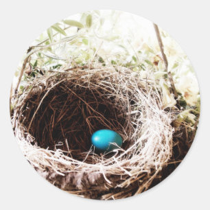 Sticker Rond Le nid de Robin
