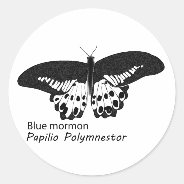 Sticker Rond Le papillon de mormon bleu est une espèce papillon (Devant)