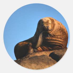 Sticker Rond Le penseur