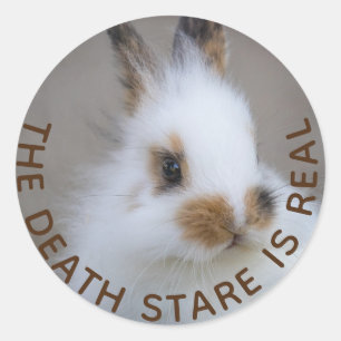 Sticker Rond Le pied de mort BUNNY est réel ! Ajouter sa propre