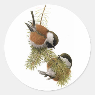 Sticker Rond Le poulet aux châtaignes de Fuertes