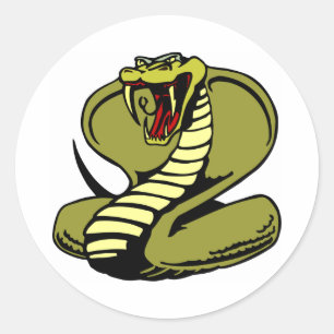 Sticker Rond Le roi blanc Cobra