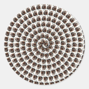 Sticker Rond Le tourbillon de Wombat : une spirale de merveille