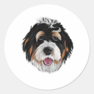 Sticker Rond Le visage du chien Bernedoodle