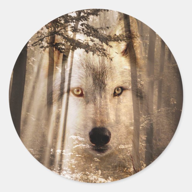 Sticker Rond Le visage du loup dans les bois (Devant)
