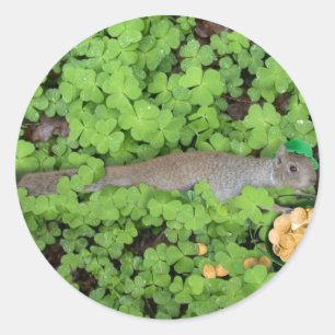 Sticker Rond L'écureuil chanceux en Cloches