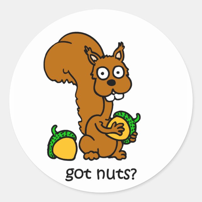 Sticker Rond L'écureuil mignon a des noix (Devant)