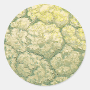 Sticker Rond Légumes alimentaires anciens Chou-fleur légumes