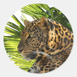 STICKER ROND LEOPARD ET PALMS