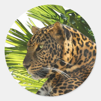 STICKER ROND LEOPARD ET PALMS