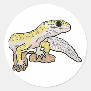 Sticker Rond Leopard Gecko