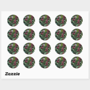 Sticker Rond Les amateurs de café Café,