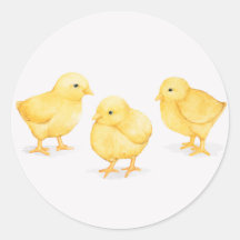 LES BÂTIMENTS CLASSIQUES RONDES DE PÂQUES