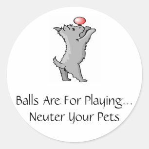 Sticker Rond Les boules sont pour le jeu