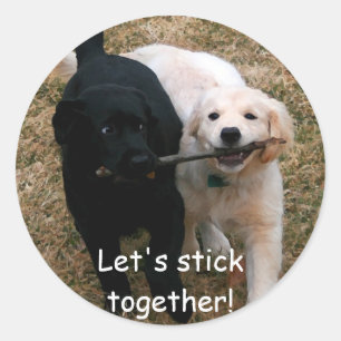 Sticker Rond Les chiots noirs et blancs "collent ensemble" des