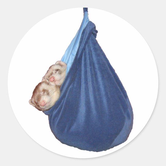 Sticker Rond Les Ferrets Dans Un Sac À Sac À Dormir (Devant)