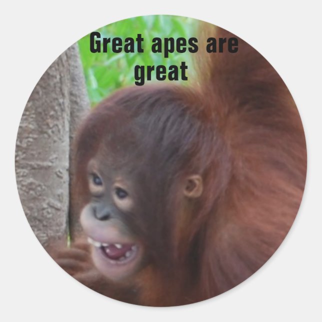 Sticker Rond Les grands singes sont grands (Devant)