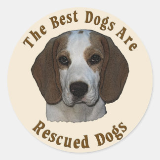 Sticker Rond Les meilleurs chiens sont Secourus - Beagle