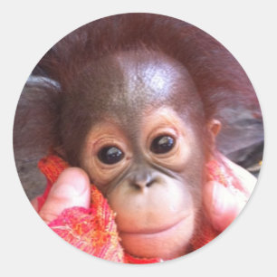 Sticker Rond Les mignons animaux