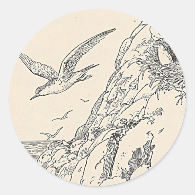 Sticker Rond Les Mouettes (Devant)