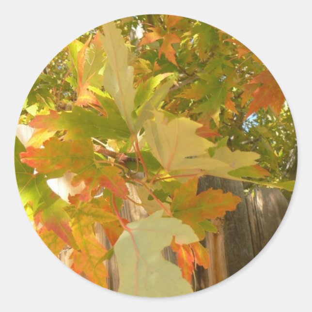 Sticker Rond L'été s'est terminé (Devant)