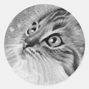 Sticker Rond Let's snow Kitty Cat