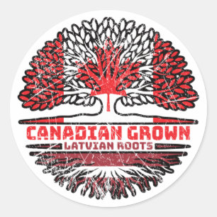 Sticker Rond Lettonie Drapeau canadien letton des racines d'arb