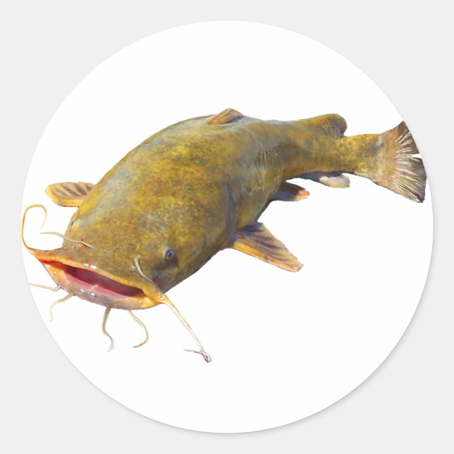 Sticker Rond Lèvres de poisson (Devant)