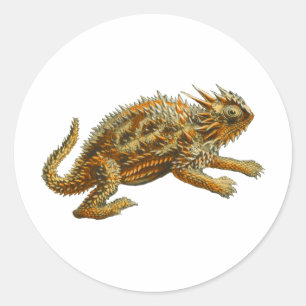 Sticker Rond Lézard de la Corne du Texas