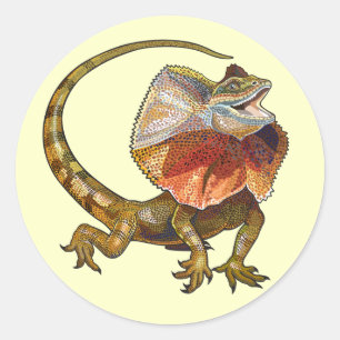 Sticker Rond lézard étranglé de vrille