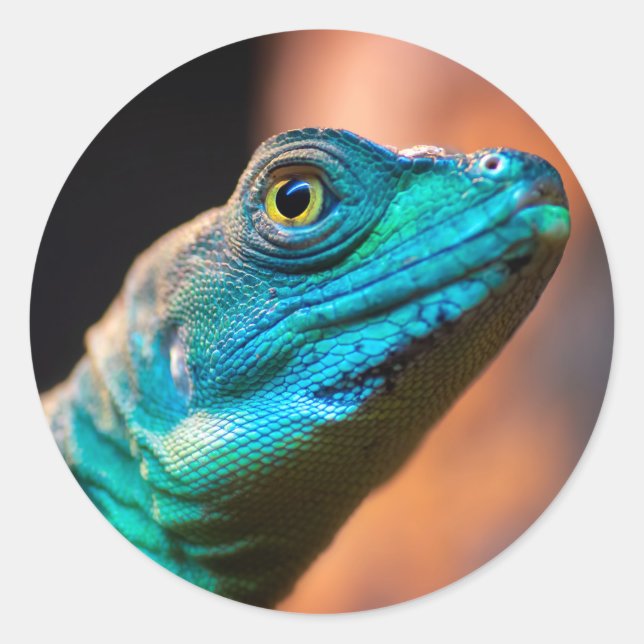 Sticker Rond Lézard vert (Devant)