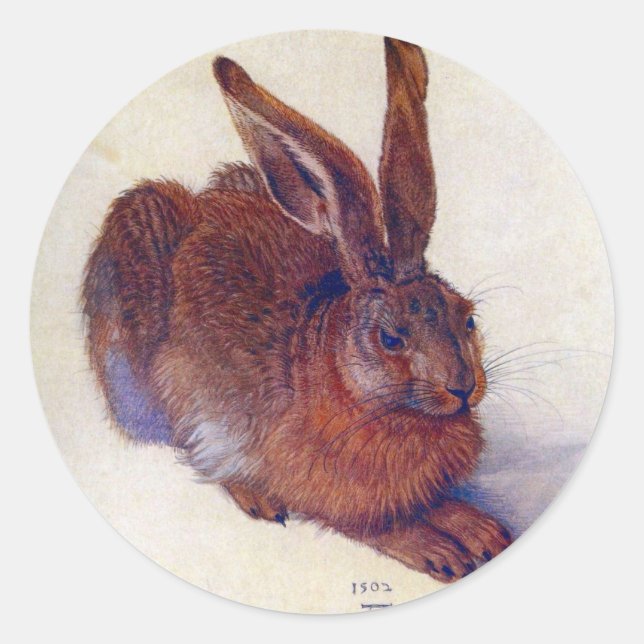 Sticker Rond Lièvre jeune par Albrecht Durer, Art Renaissance (Devant)