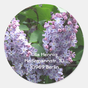 Sticker Rond Lilacs