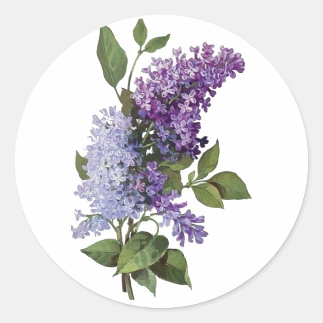 Sticker Rond Lilacs frais (Devant)
