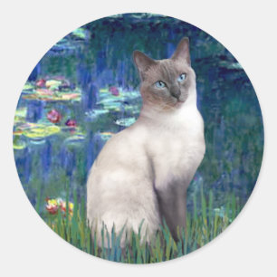 Sticker Rond Lilies 5 - Chat siamois Blue Point