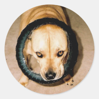 Sticker Rond Lilo dans le Tyr