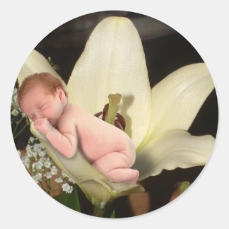 Sticker rond Lily Flower Baby