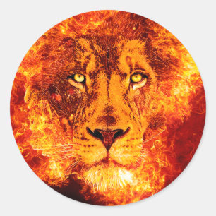 Sticker Rond Lion flamand de Juda