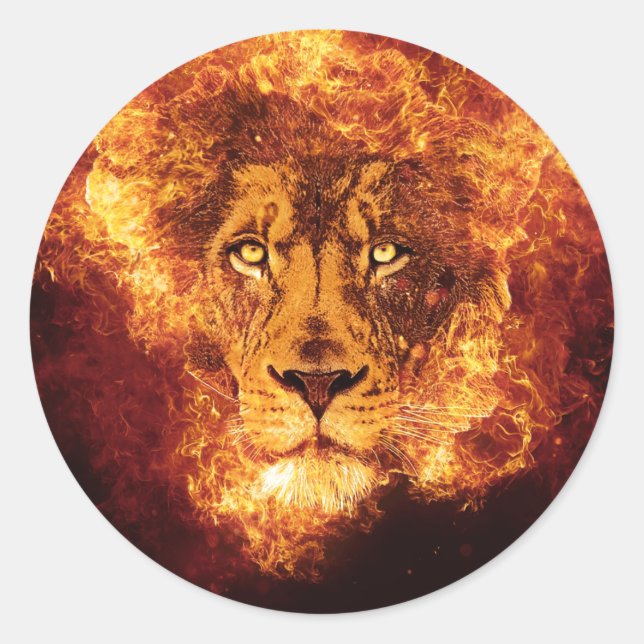 Sticker Rond Lion flamand de Juda (Devant)
