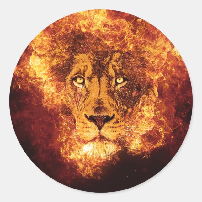 Sticker Rond Lion flamand de Juda (Devant)