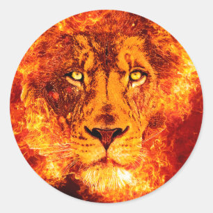 Sticker Rond Lion flamand de Juda