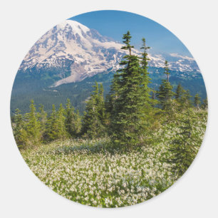 Sticker Rond Lis des avalanches et mont Rainier
